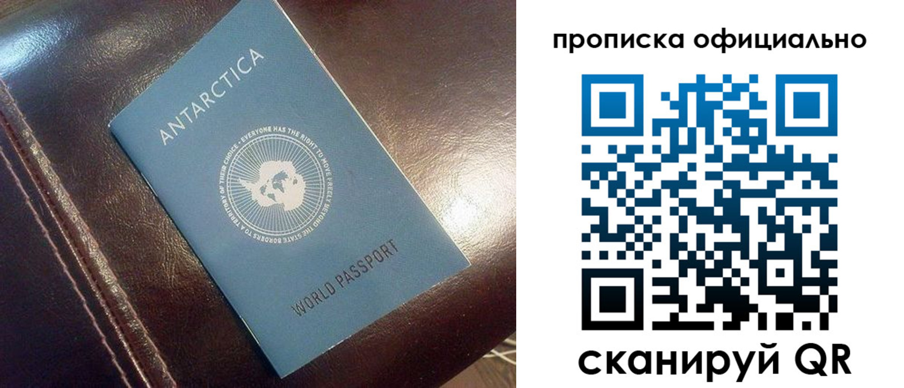 временная регистрация гарантия в Белой Калитве